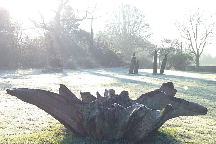 Winter scene at Alby Gardens